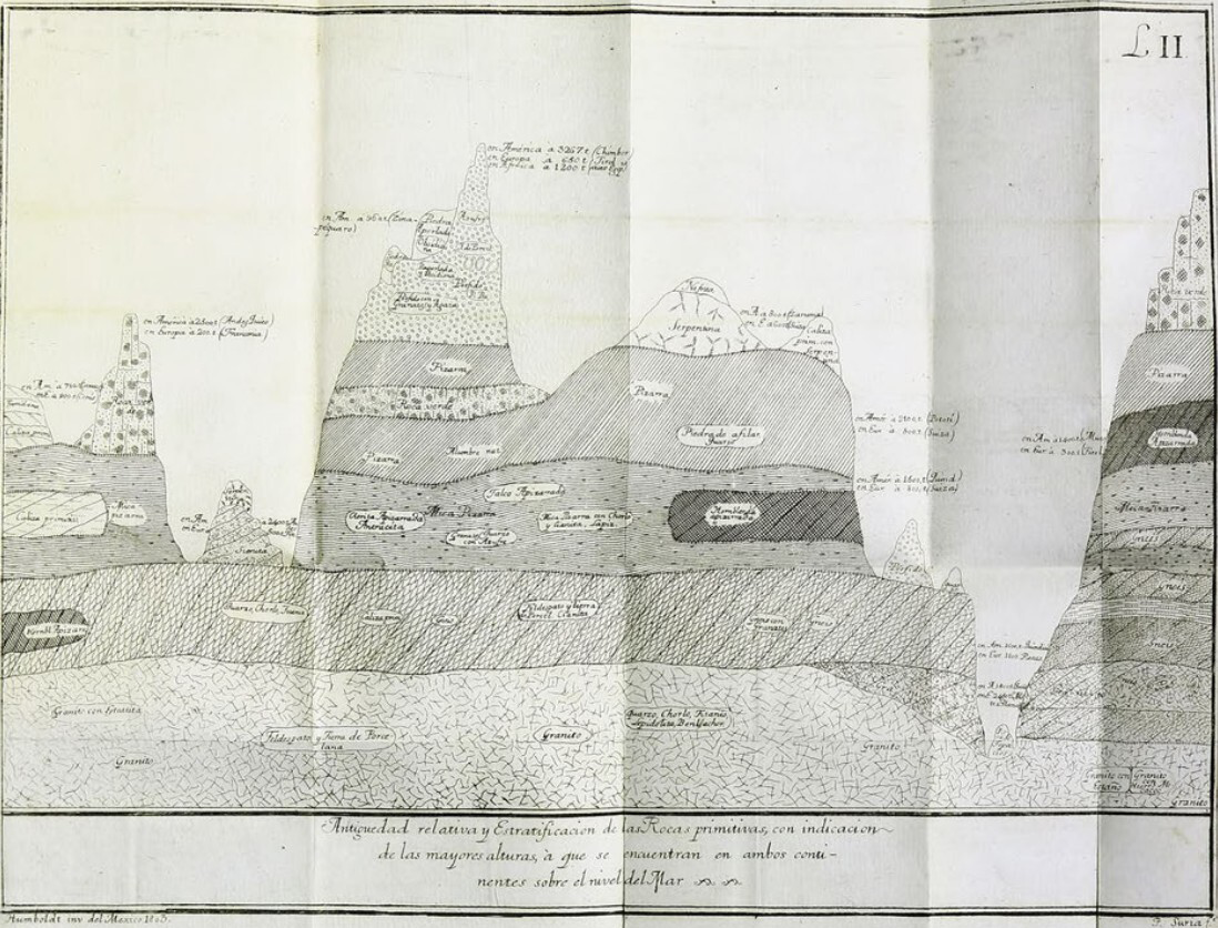 fig.7.jpeg